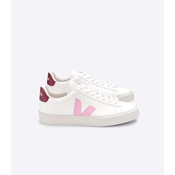 Low Tops Sneakers ανδρικα Veja CAMPO CHROMEFREE White/Pink | GR 293YXF